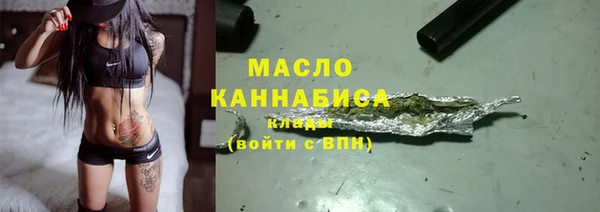 индика Покачи