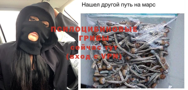 соль ск Бронницы